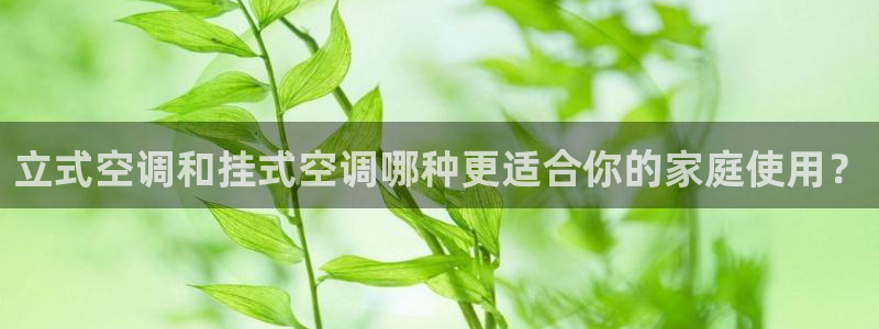 环球360官网入口网址