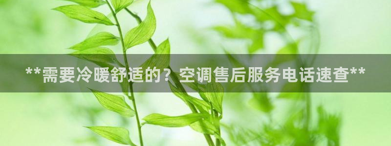 环球360历年片头